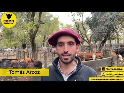 08-06-23 - Tomás Arzoz - Martillero - Remate de Hugo R.  Arístegui y Cía.  en Cahcarí, Bs.As.