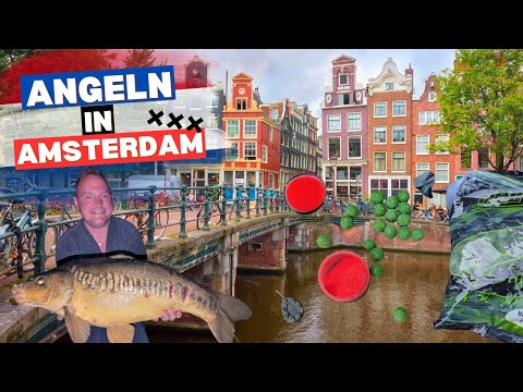 Karpfenangeln in Amsterdam! Streetfishing mal anders mit dicker Überraschung!
