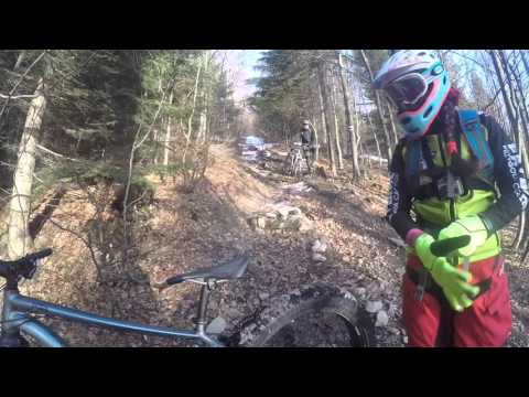 Mogielnica na grubasach