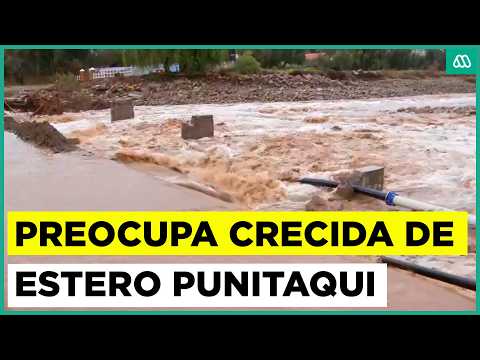 Preocupa crecida del estero Punitaqui en Región de Coquimbo y río Pichilo en el Biobío