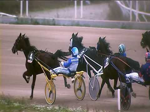 Trotto 18/11/2018 - 2ª corsa