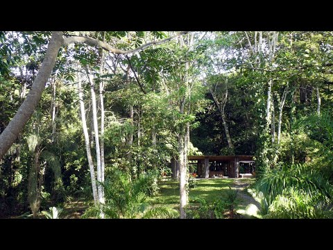 Open House in the Jungle By Ksymena Borczynska In COSTA RICA