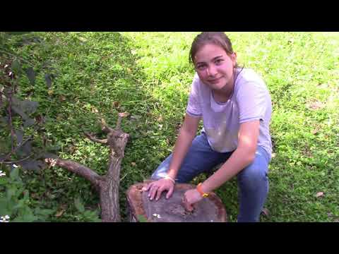 Shakespeare's Sonnet 29