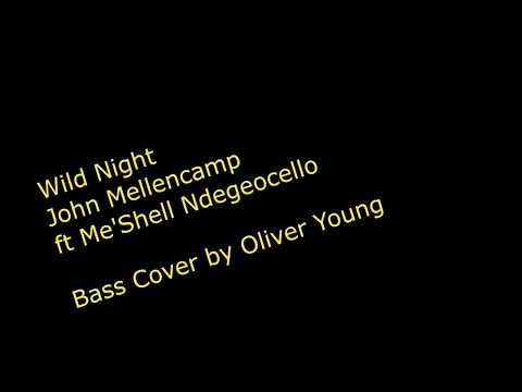 Wild Night - John Mellencamp ft Meshell Ndegeocello