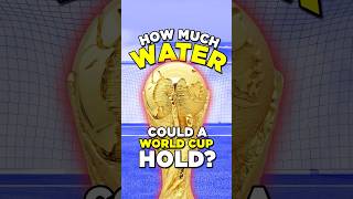 The World Cup Can Hold WHAT?