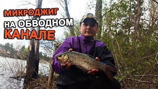 Ловля рыбы на обводном канале в тушино
