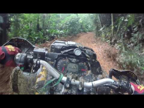 Bananalama 2017. Trilha dos Quadri. Neutro