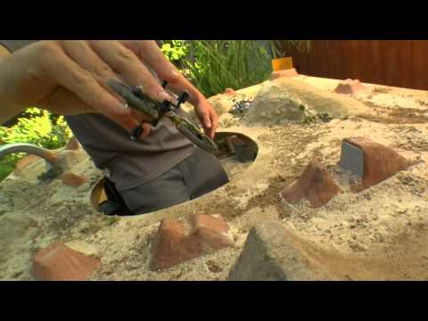 Flick Trix - Dirt McGirt