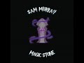 Sam Murray Magic Stone