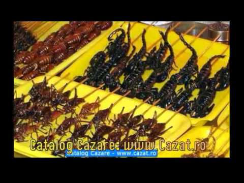 Cazare Ostroveni, Dolj - Cazat.ro