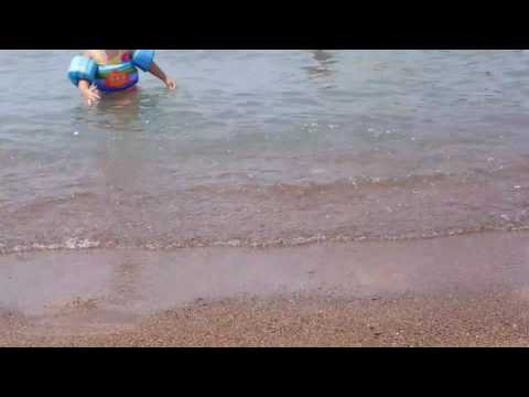 Playing with JoJo on the beach 2017