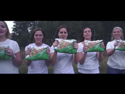 Karoline - Kongen av Hellesletta (Håland chick)