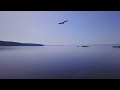 Eagles Attack My Drone Crazy And Scary