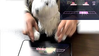 元気が欲しい時に見る動画 [プロセカ]