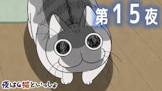 살금살금~😍 - アニメ『夜は猫といっしょ』第15夜「ネコとだるまさんが転んだ」