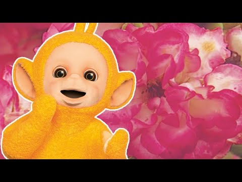 Colours Pack 3 | Teletubbies - Classic! | Videos for Kids | WildBrain - Preschool