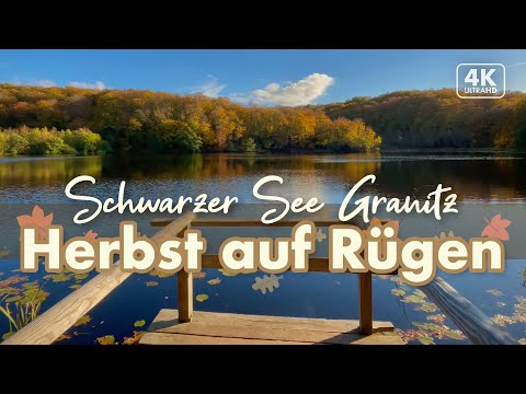 GRANITZ - Hochuferweg und schwarzer See  - Herbst auf Rügen 2021 (4K Walk)