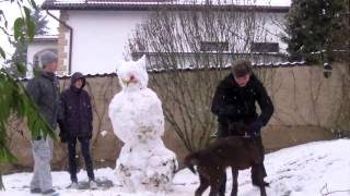 Video Sněží