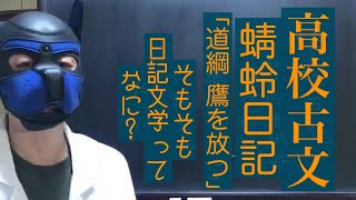 蜻蛉日記 鷹を放つ