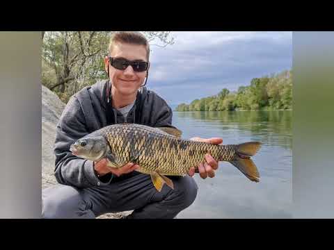 Ultralight na Savi sa zrnom umjetne kuruze