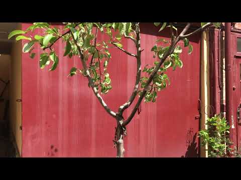 BJURMAN - Music Diary 2018-06-14