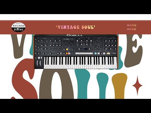 SoundsDivine 'Vintage Soul' - Moog Muse