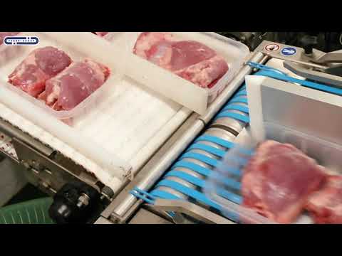 Xpeed 3 - Operculeuse automatique compacte en acier inoxydable - Gruppo Fabbri_4