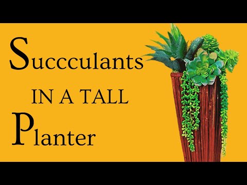 Succulents in a Tall Planter. High-end Dupe