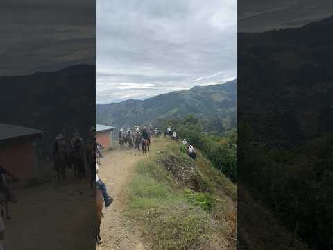 Recorrido a caballo #colombia #horses #caballos