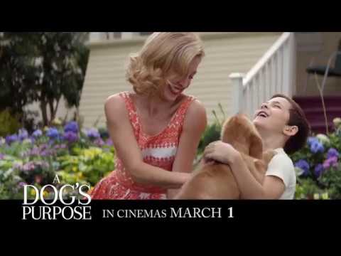 A Dog's Purpose | Trailer 1