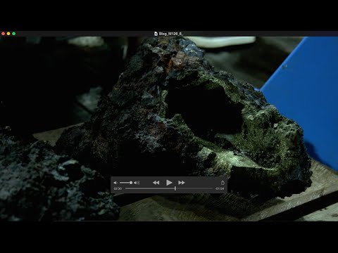 Der Blog von der FS Meteor M126 - Teil 6: Narrengold und Tiefsee-Teamwork