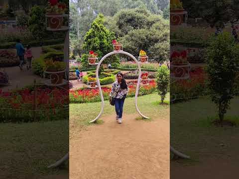 #youtubeshorts #rowdyrubeena #shortsfeed #tending #shorts #ooty #beautiful #flowers #garden