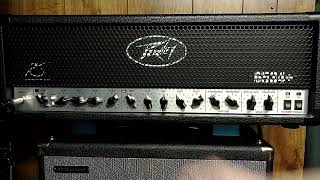 Video thumbnail for Peavey 6534+ Demo by Brad B