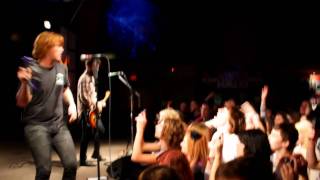 The Almost - Free Fallin' Live