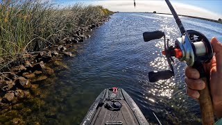 Weirdest day out on the water in 2025
