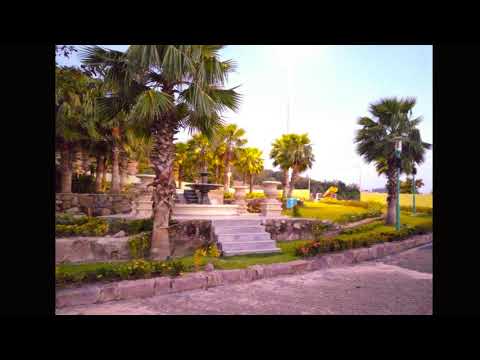 Thể hiện bởi Hồng Trúc
