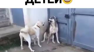 Видео Приколы Юмор Фэйлы Смех Ржака Fail Funny Vines 2241