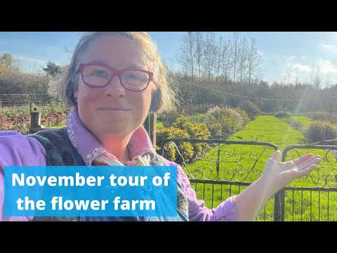 , title : 'November tour of the flower farm with thoughts about small businesses throughout x'