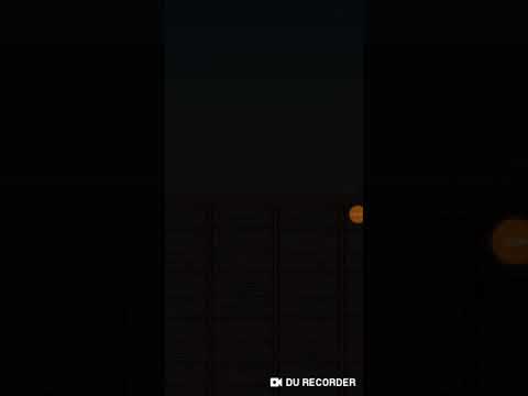 Simon's Cat Crunch Time S14 part 1-6(3)