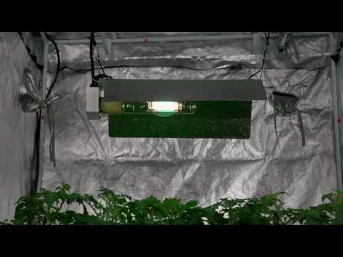 VSWR6000 Virtual Sun Winged Reflector Grow Light Hood