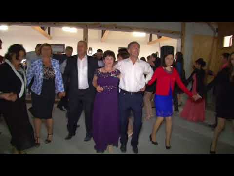 Andrada Carciumaru si Formatia Modern din Mioveni - COLAJ SARBE