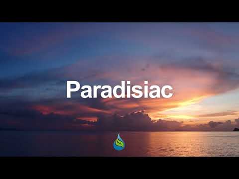 Panaphonic vs Guanavana - Sunrise Light