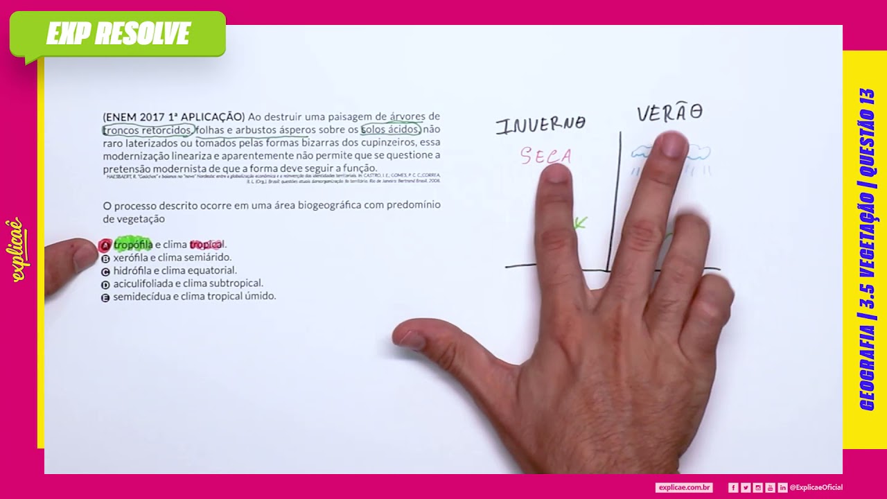 AO DESTRUIR UMA PAISAGEM DE A?RVORES DE TRONCOS RETORCIDOS, FOLHAS E ARBUSTOS (...) | VEGETAÇÃO