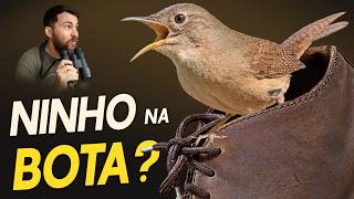 Miniatura do vídeo