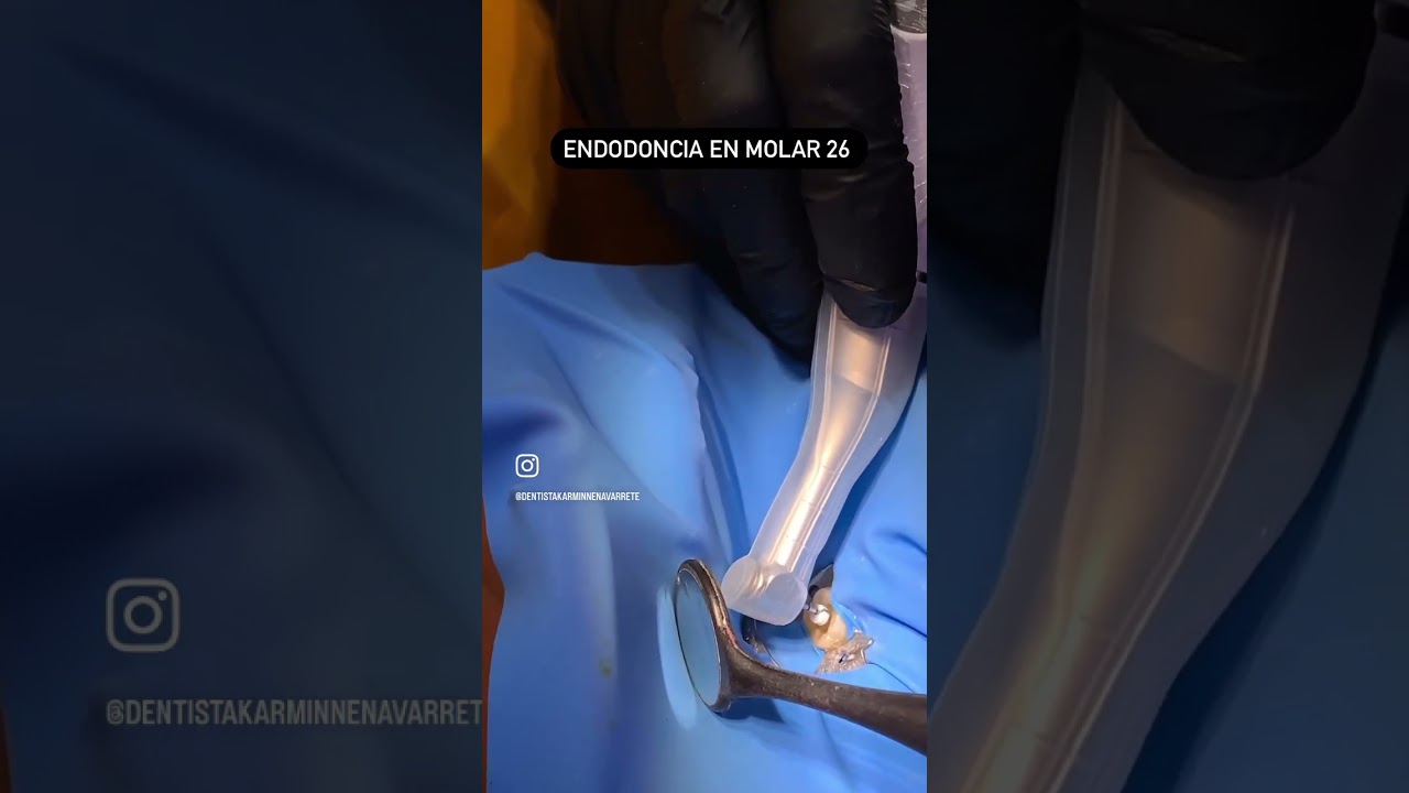 Karminne Navarrete-28