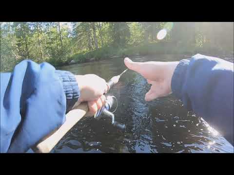 Markus Kalassa Jokikalastus 2019 - Kirrekeisari Kalastussarja Jakso 5/5