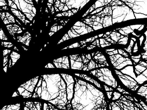 Video thumbnail for The Fear