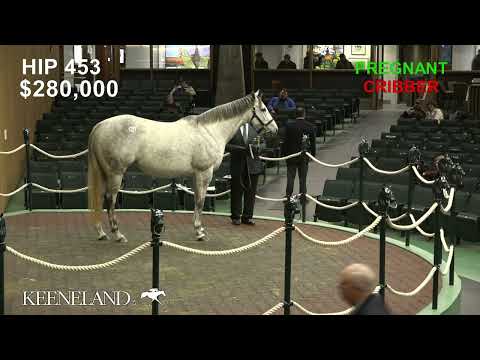 Pretty Birdie sells for $700,000 at 2025 Keeneland January
