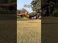 Superman Push Up Shorts Shortsvideo Ashortaday