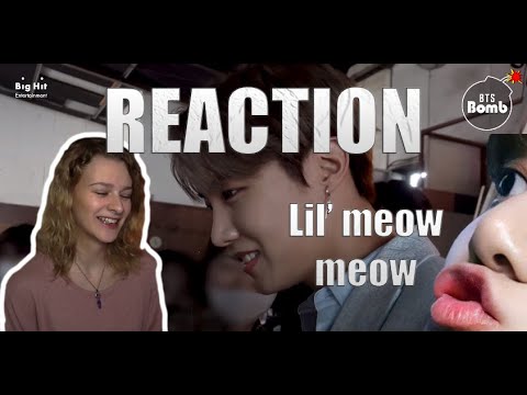 {REACTION} THIS IS WHY I LOVE CHIM CHIM!! [BANGTAN BOMB] You Have a Meow-sitor! - BTS (방탄소년단)